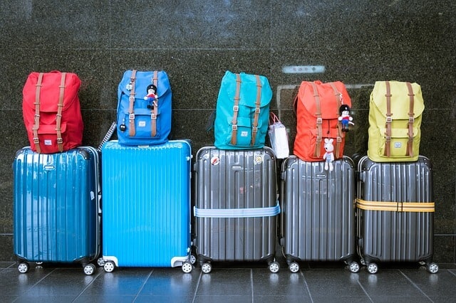 Pack Like a Pro: The Ultimate Guide to Packing Cubes and Essential Travel  Accessories