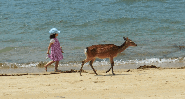 A young girl in a pink dress walking on the beach behind a deer