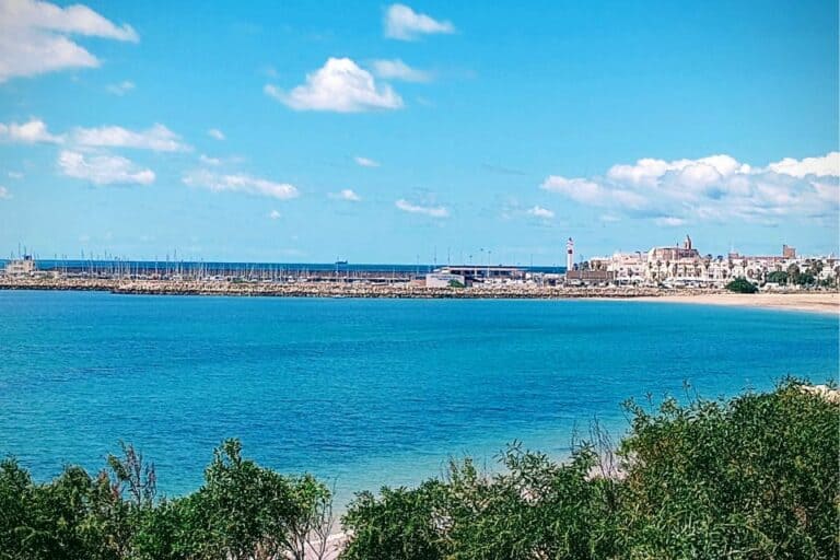 The Rota port and skyline seen from a distance