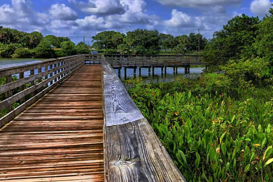 A wooden path over a marsh surrounded by greenery