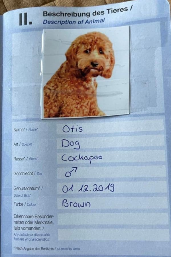 the inside of a european pet passport with the picture and description of the dog