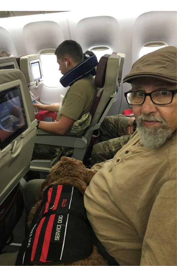 a man on an airplane with a dog wearing a service dog vest on the man's lap.