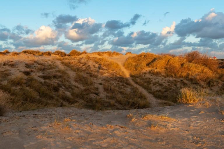 sand dunes at dusk