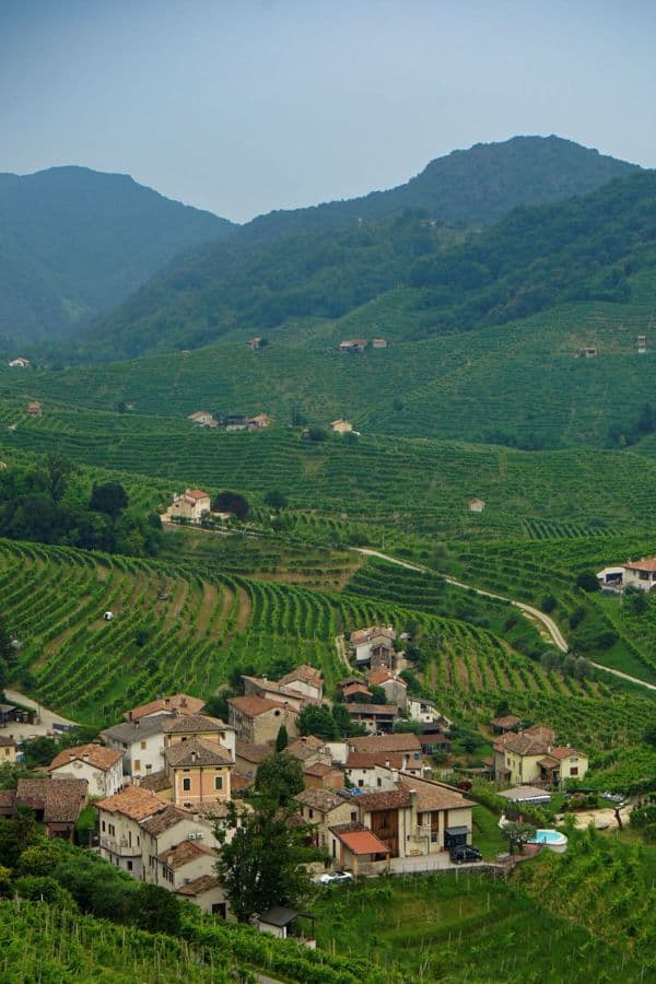 the lush, green prosecco hills of Valdobbiadene