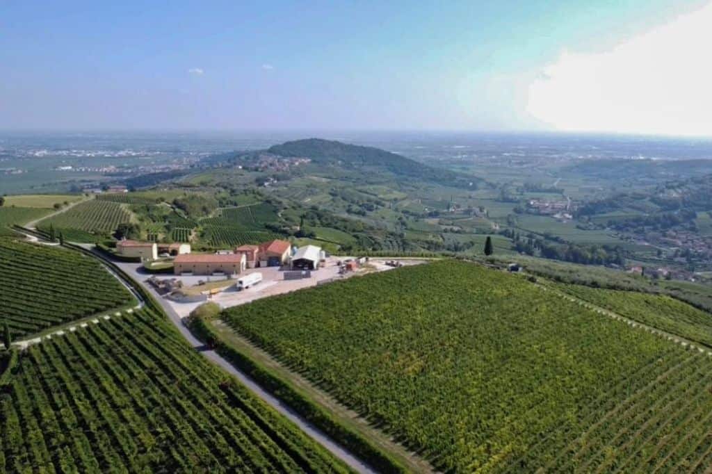 birdeys view of rolling hills of vineyards