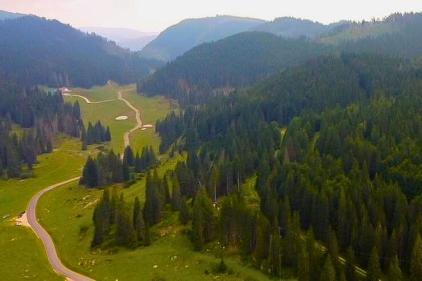 Evergreen trees surround a winding trail in Asiago