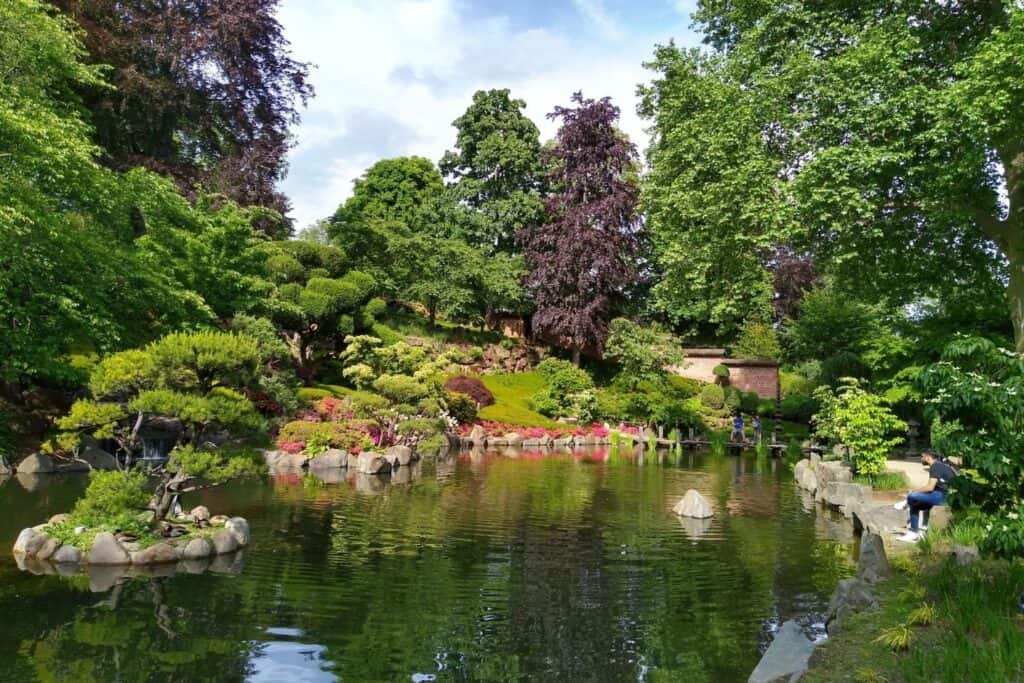 A Japanese garden with a koi pond